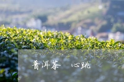 普洱茶 心跳/2023042806710